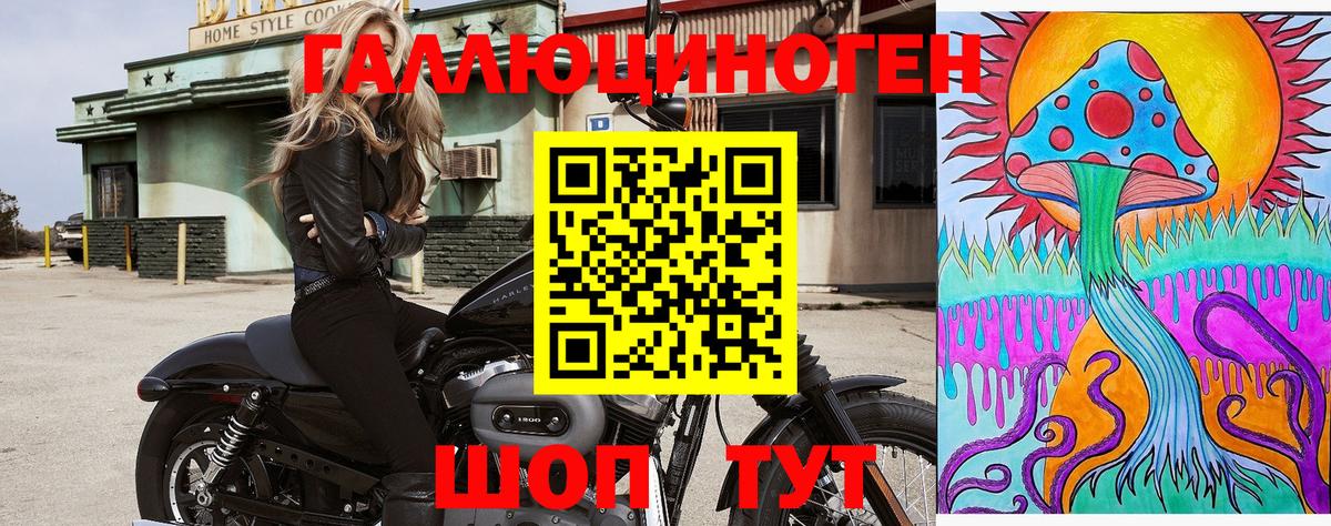 Галлюциногенные грибы мицелий  Вход с VPN  Арзамас 